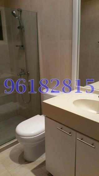 The Arcadia (D11), Condominium #164356612